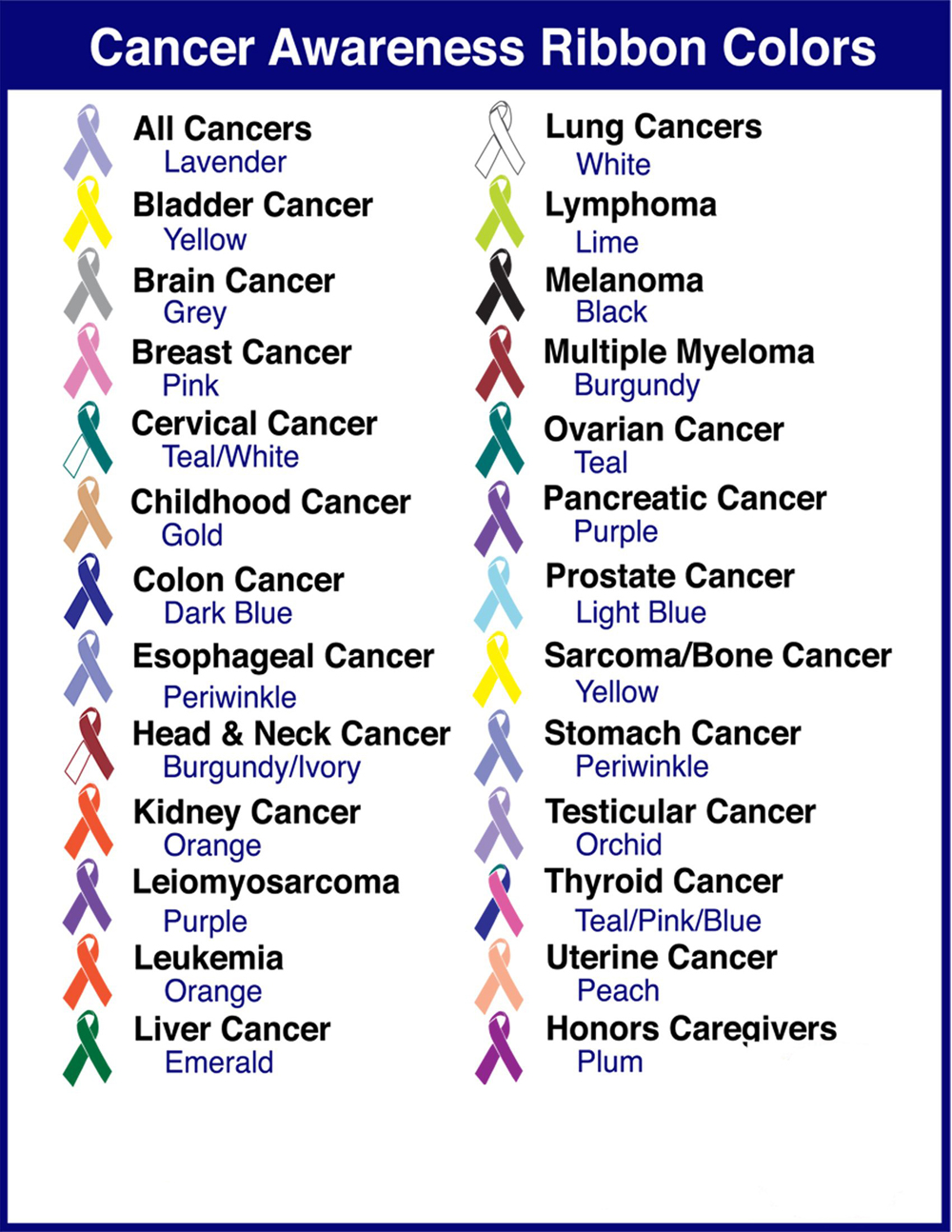 Awareness Ribbon Info