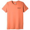 BC3413 Brutal Logo Triblend Tee