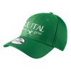 NE1020 Brutal Logo 3930 FlexFit Mesh Cap